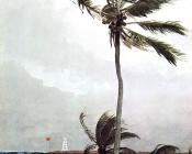 温斯洛 荷默 : Palm Tree, Nassau
